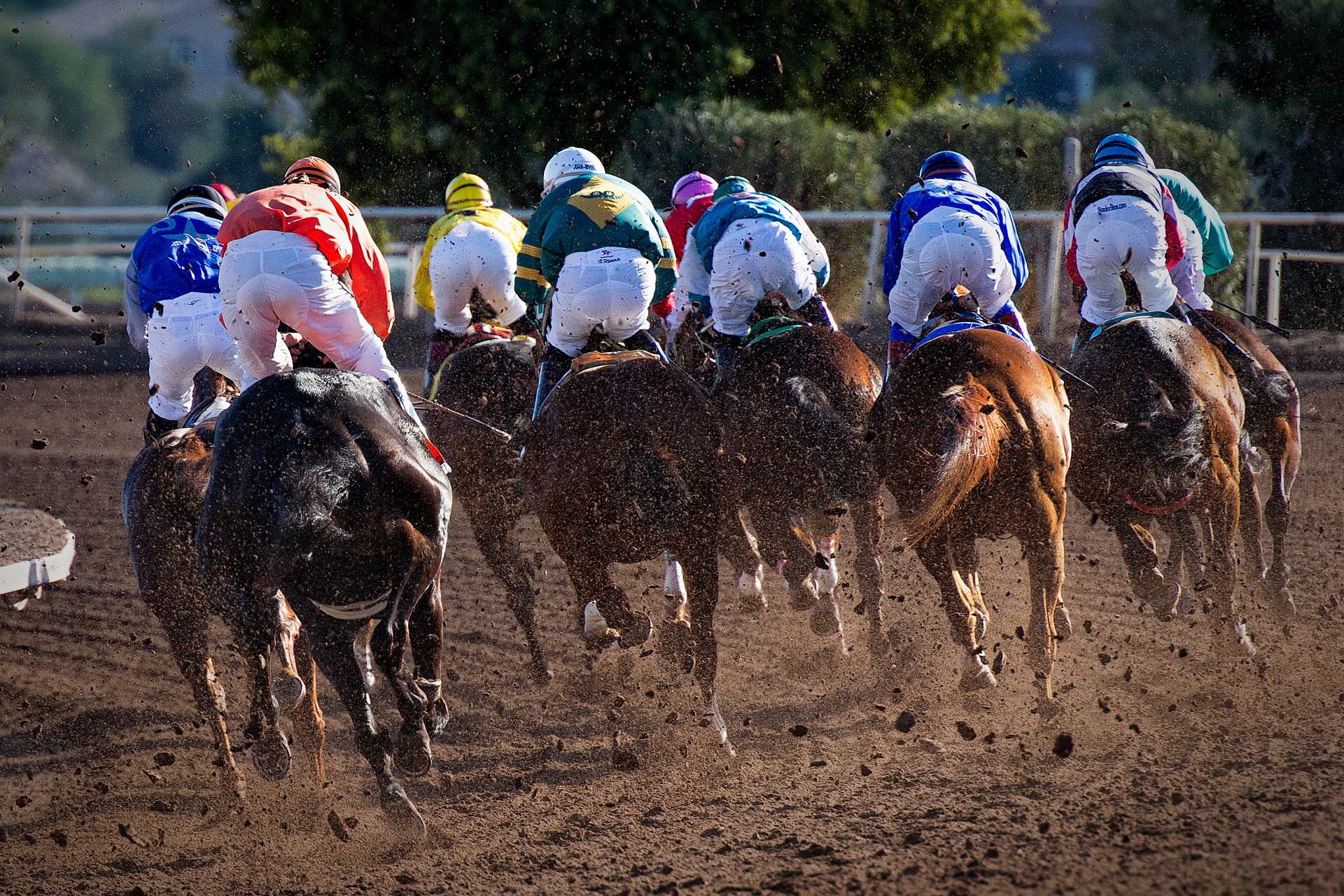 Courses de Galop